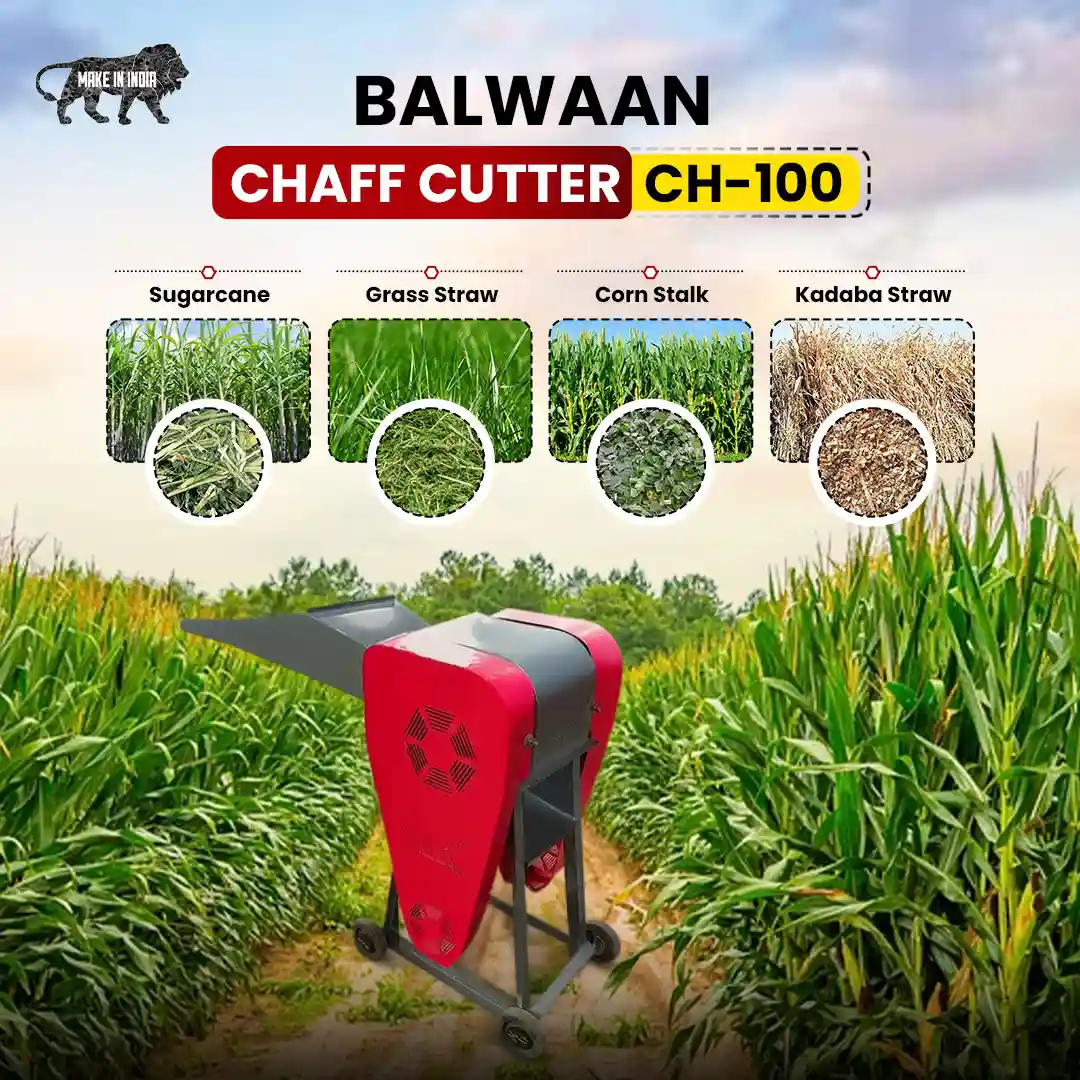 BALWAAN CHAFF CUTTER CH-100 FOR DAIRY FARMING 300/500KG HOUR FOODDER