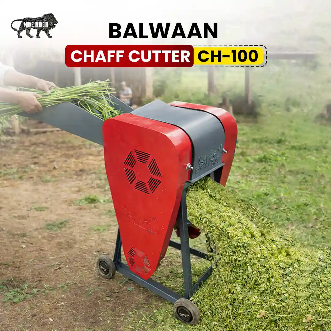 BALWAAN CHAFF CUTTER CH-100 FOR DAIRY FARMING 300/500KG HOUR FOODDER