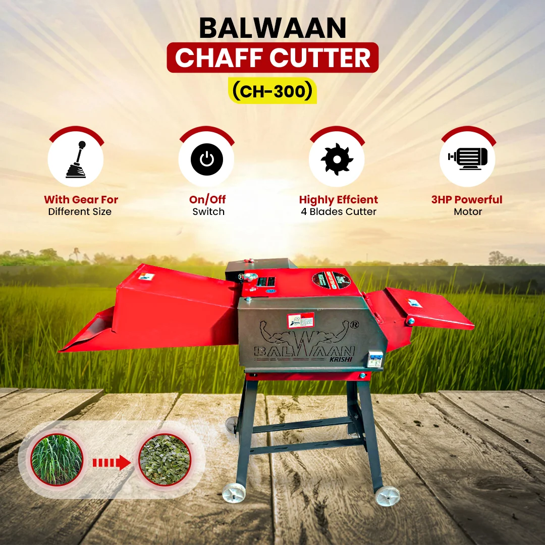 BALWAAN CHAFF CUTTER CH-300 [ WITH GEAR MOTOR