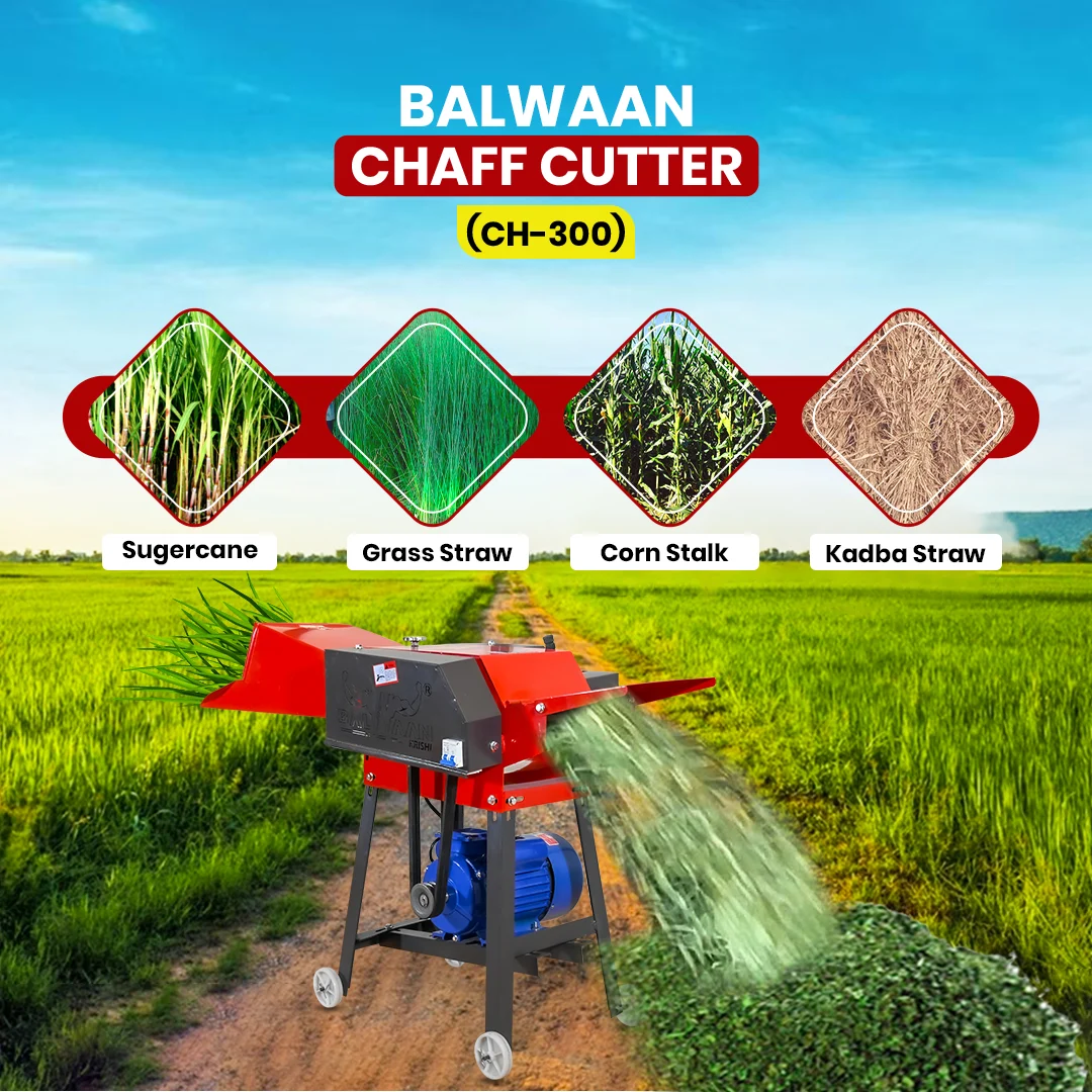BALWAAN CHAFF CUTTER CH-300 [ WITH GEAR MOTOR