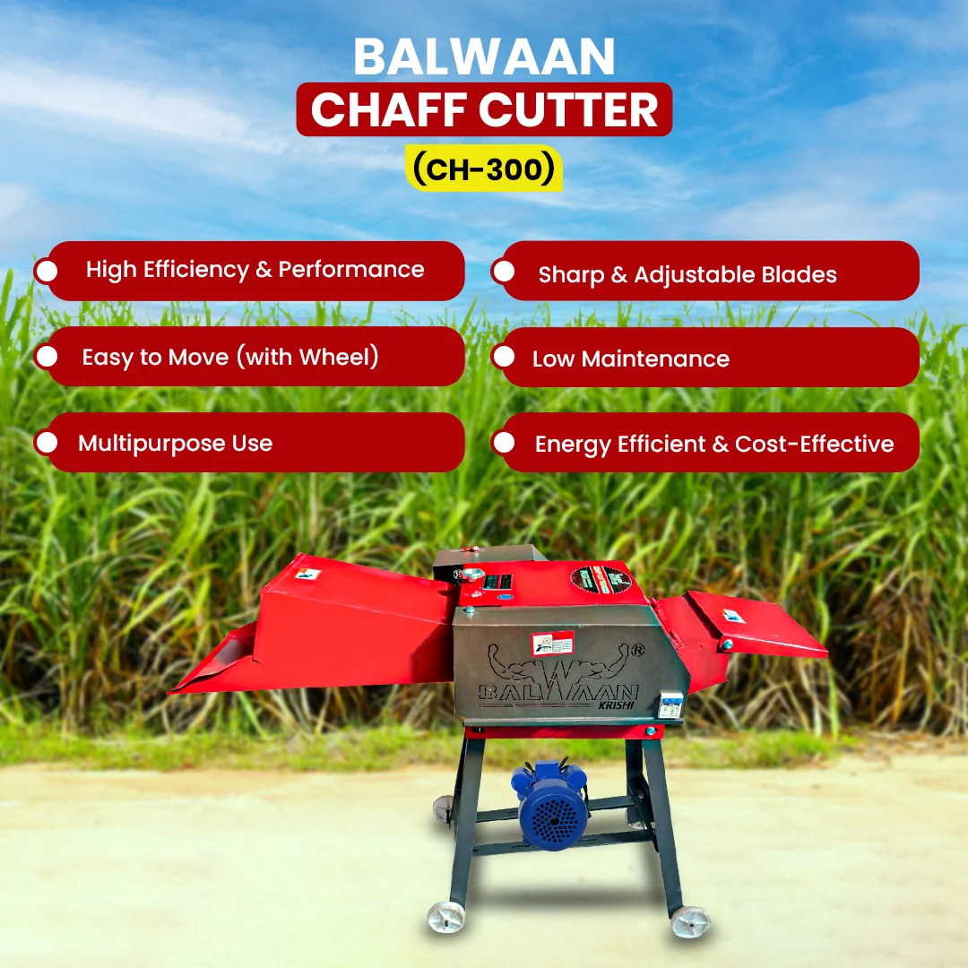BALWAAN CHAFF CUTTER CH-300 [ WITH GEAR MOTOR