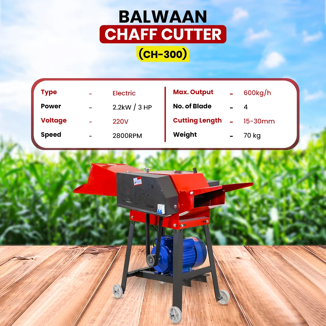 BALWAAN CHAFF CUTTER CH-300 [ WITH GEAR MOTOR