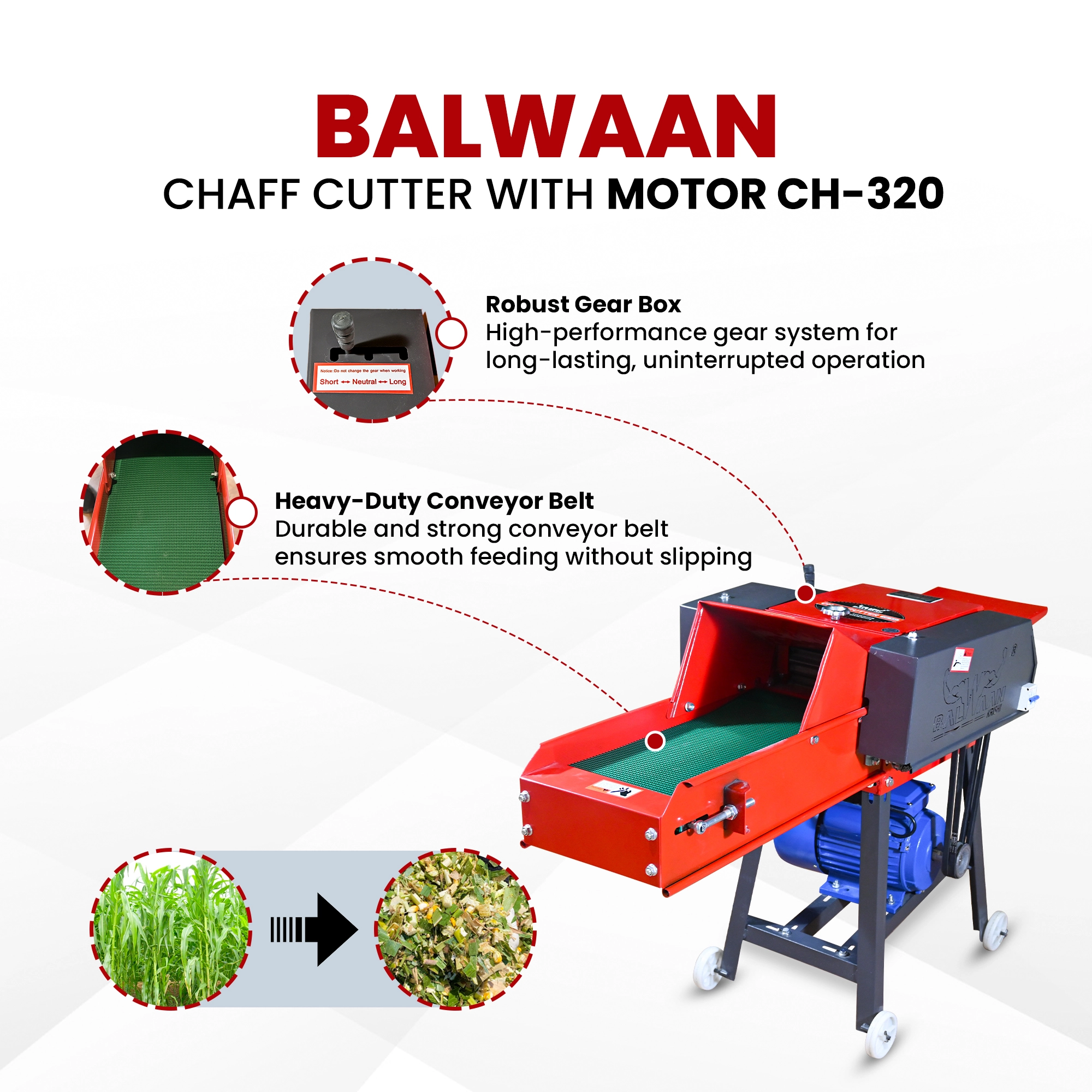 BALWAAN CHAF CUTTER CH-320 [WITH GEAR | MOTOR & CONVERGON BELT