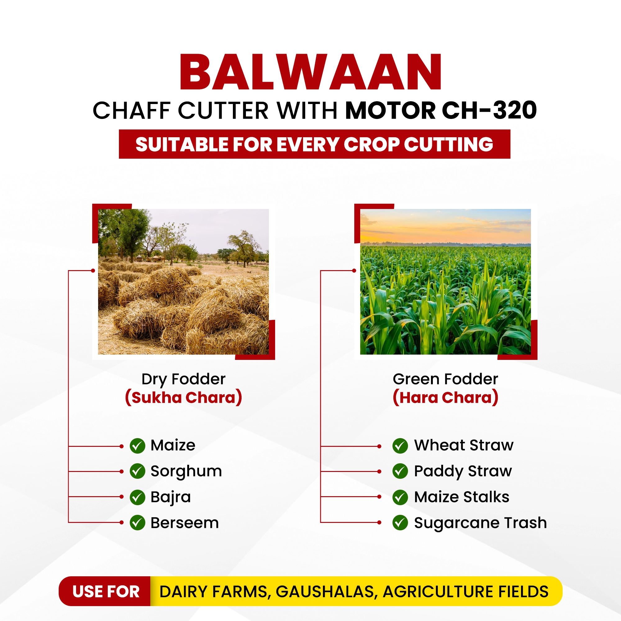 BALWAAN CHAF CUTTER CH-320 [WITH GEAR | MOTOR & CONVERGON BELT