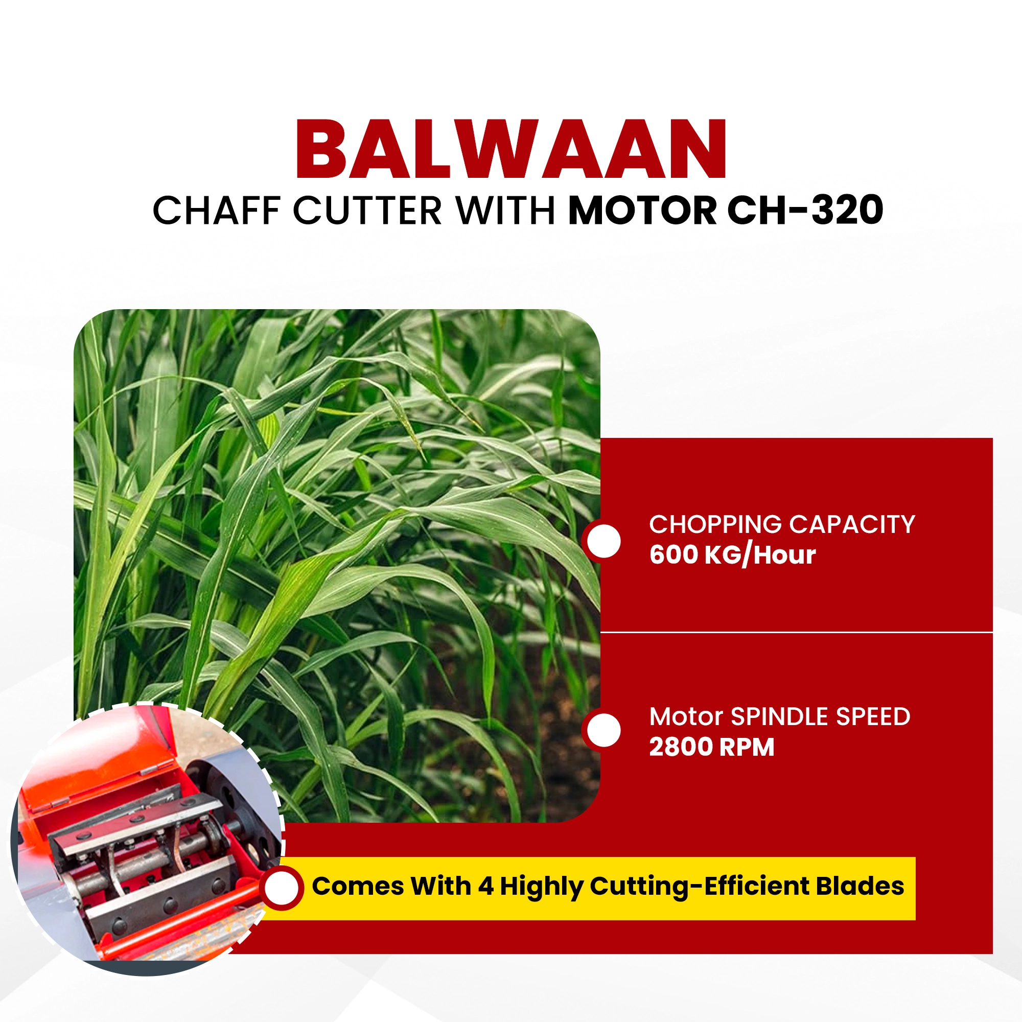 BALWAAN CHAF CUTTER CH-320 [WITH GEAR | MOTOR & CONVERGON BELT