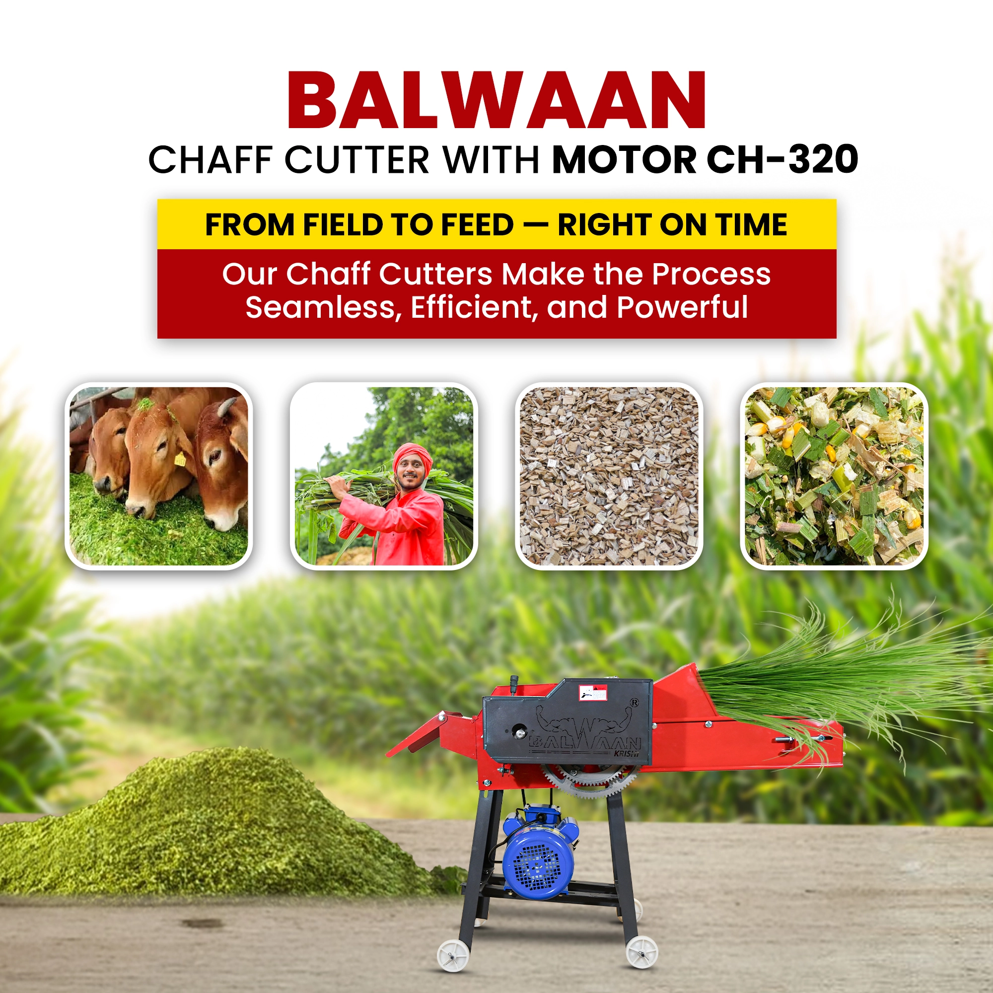 BALWAAN CHAF CUTTER CH-320 [WITH GEAR | MOTOR & CONVERGON BELT