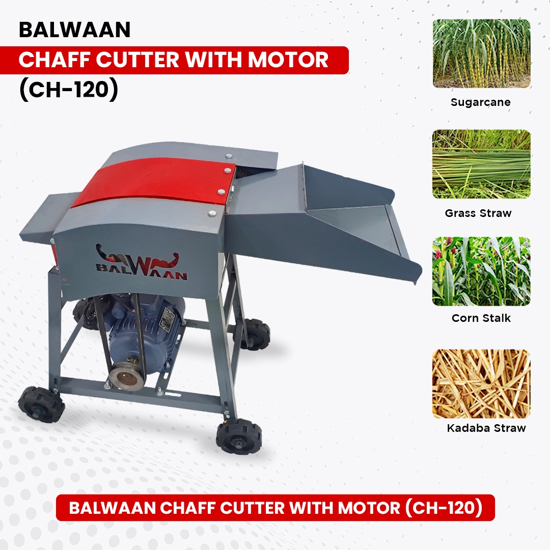 BALWAAN CHAFF CUTTER CH-120 WITH 2HP MOTOR