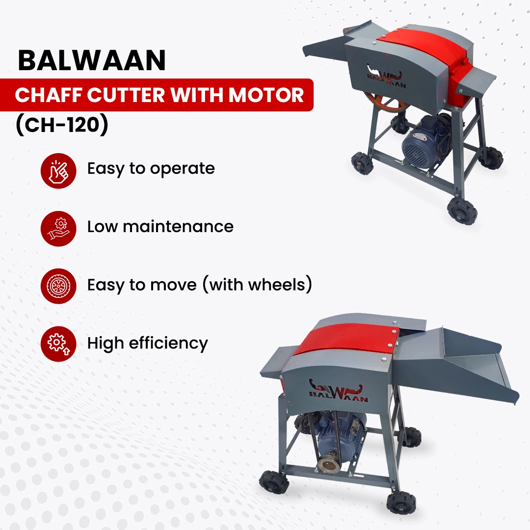 BALWAAN CHAFF CUTTER CH-120 WITH 2HP MOTOR