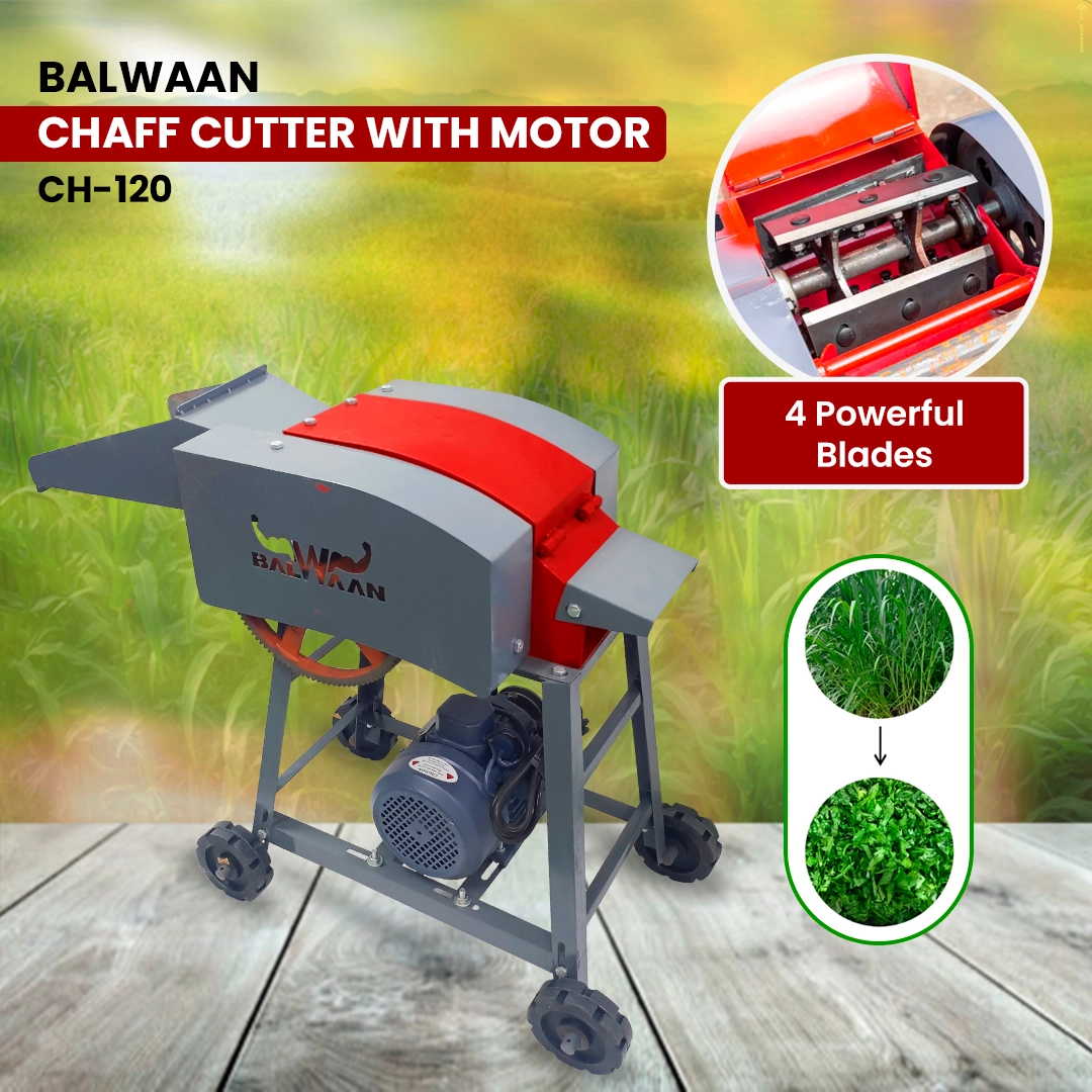 BALWAAN CHAFF CUTTER CH-120 WITH 2HP MOTOR