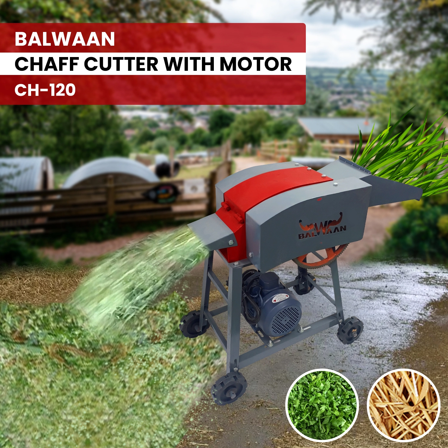 BALWAAN CHAFF CUTTER CH-120 WITH 2HP MOTOR