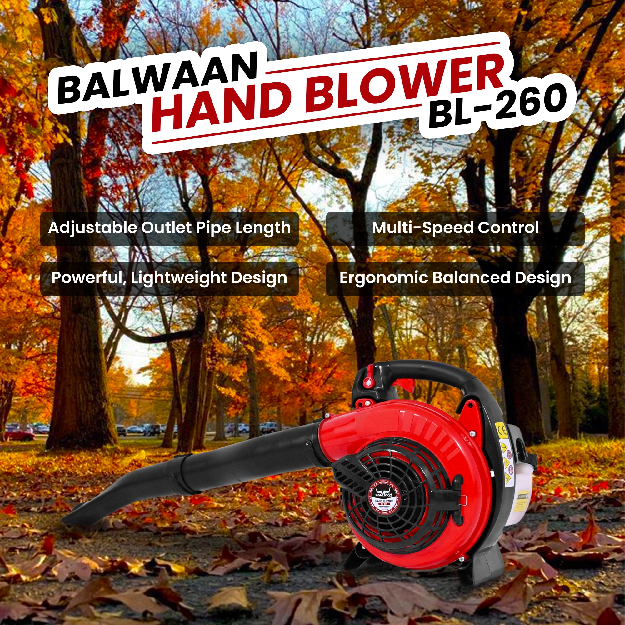BALWAAN PORTABLE HAND BLOWER BL-260