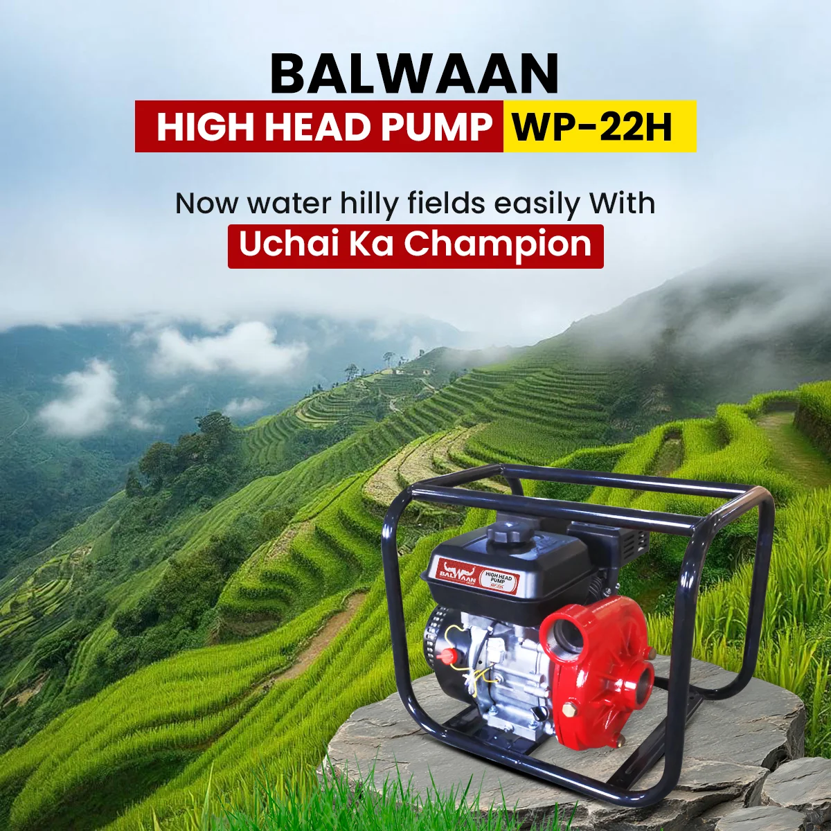 BALWAAN 2X2 INCH HIGH HEAD PUMP/WP-22H