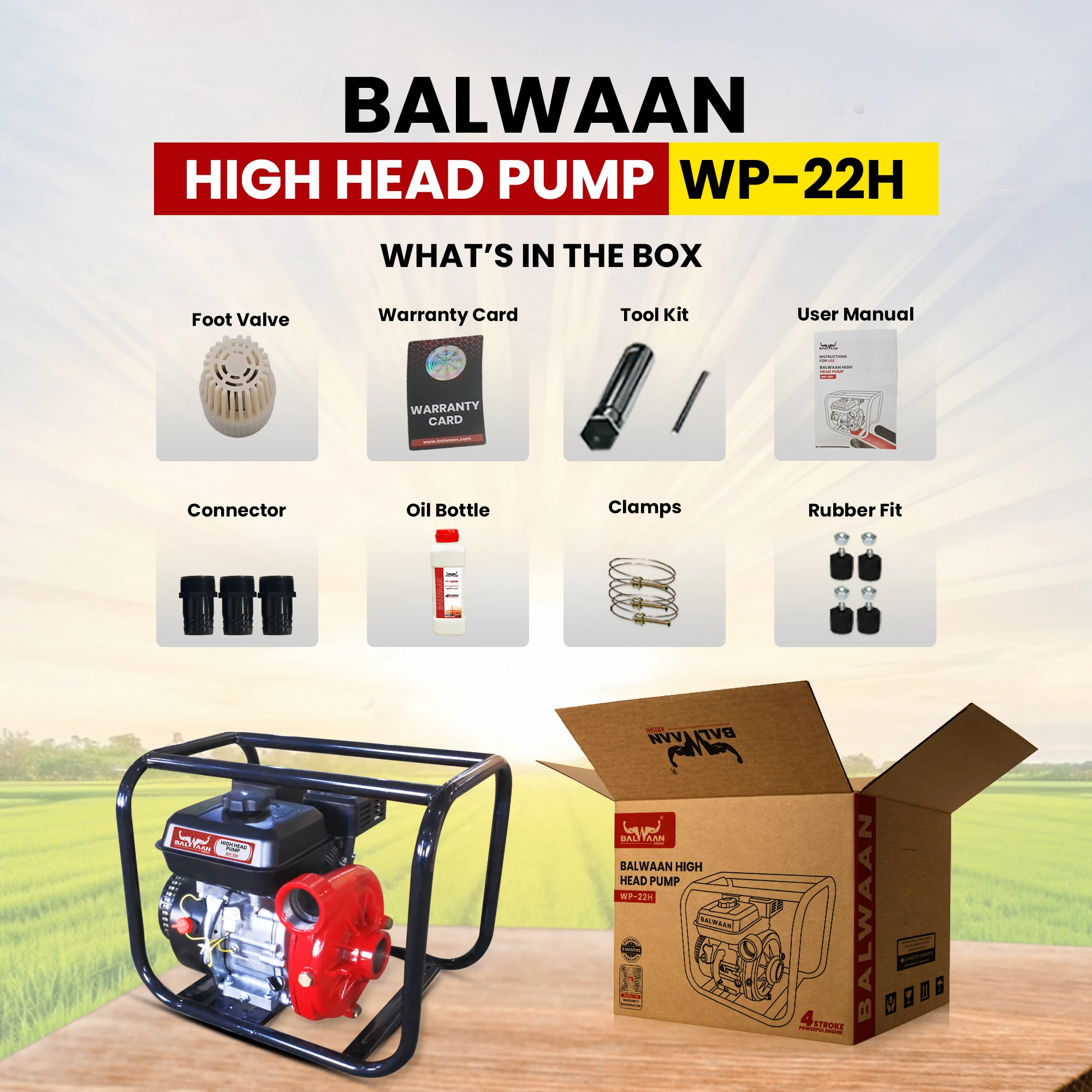 BALWAAN 2X2 INCH HIGH HEAD PUMP/WP-22H