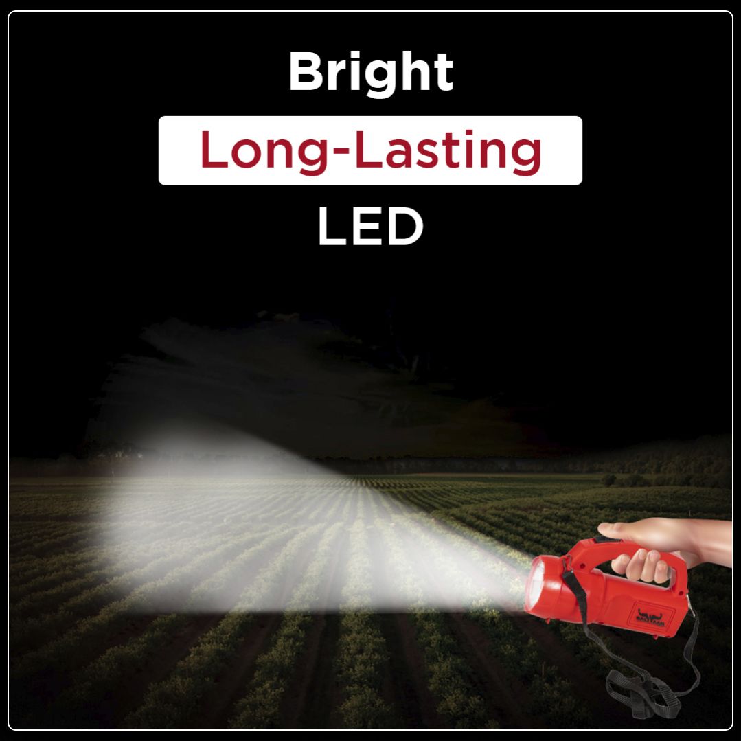 BALWAAN SHAKTI JUGNOO TORCH BSJ-3W24